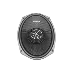 Cicada Pro Coax CXX 6X9"
