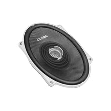 Load image into Gallery viewer, Cicada Pro Coax CXX 5X7&quot;
